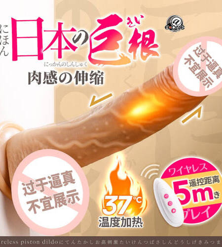 日本A-ONE絕倫連擊模擬棒